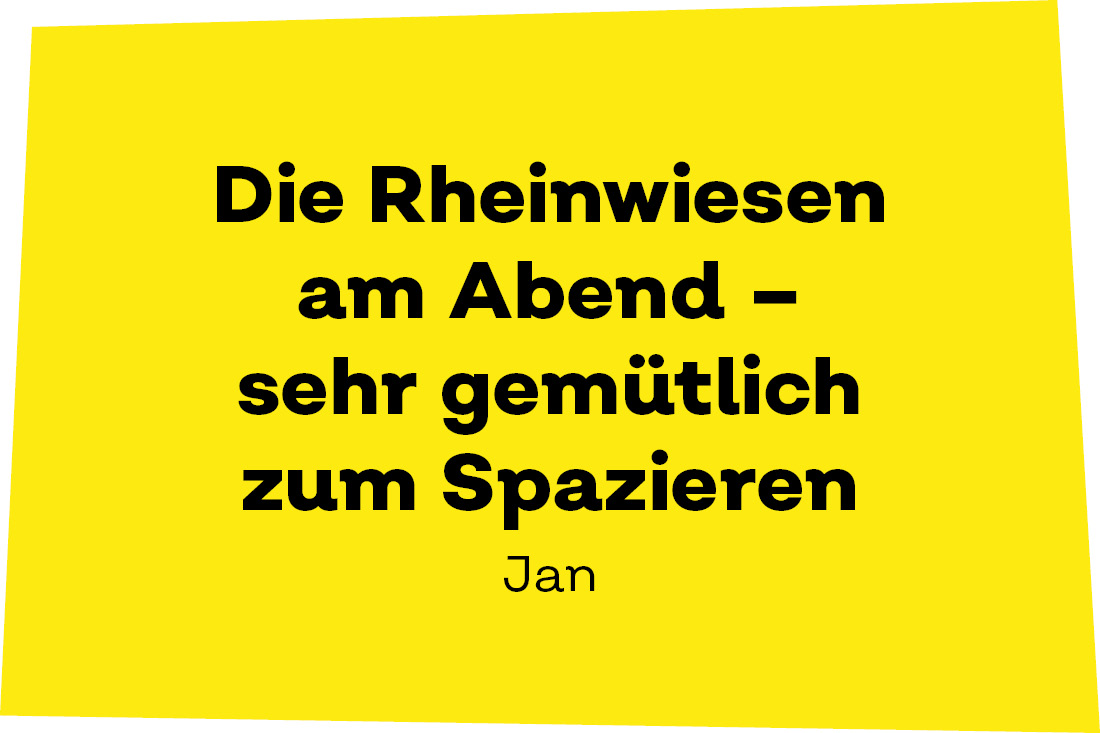 Die Rheinwiesen am Abend - sehr gemütlich zum Spazieren. - Jan