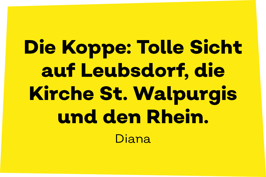 Die Koppe: Tolle Sicht auf Leubsdorf, die Kirche St. Walpurgis und den Rhein. - Diana