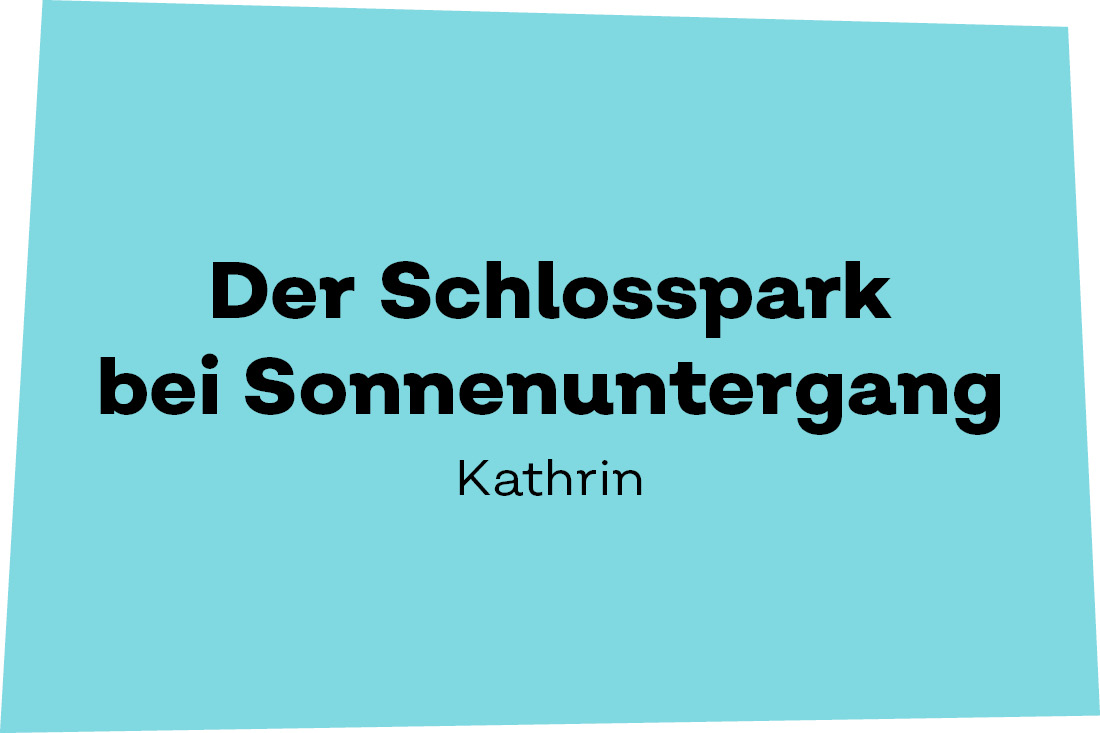 Der Schlosspark bei Sonnenuntergang. - Kathrin